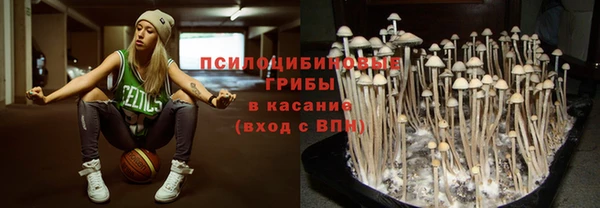mdpv Костерёво