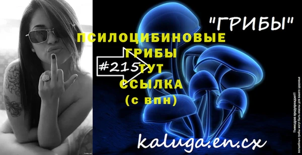 меф Корсаков
